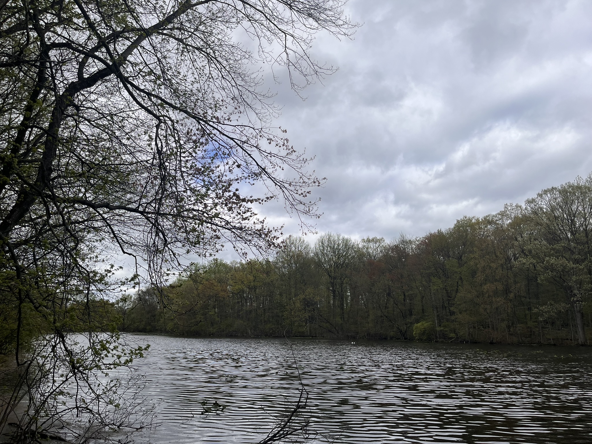 Water Monitoring